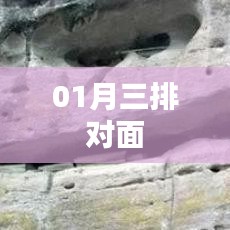 根据您的需求,以下是一个符合要求的标题,,一月三排对面,精彩瞬间不容错过。
