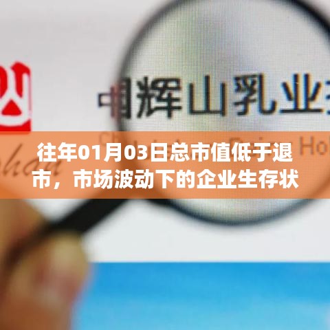市场波动下的企业生存状况分析,总市值低于退市警戒线的影响