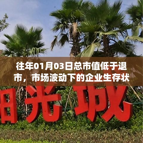 市场波动下的企业生存状况分析,总市值低于退市警戒线的影响