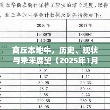 商丘牛业,历史传承、现状解析与未来展望