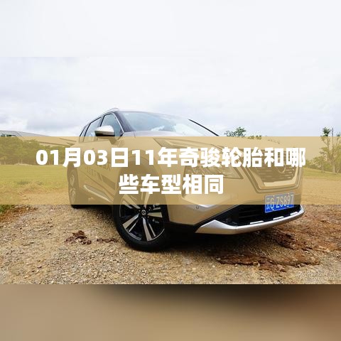 奇骏轮胎适配车型及更换指南