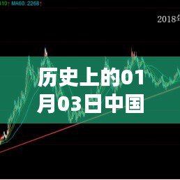 中国甲醇日产量变迁,历史视角下的01月03日数据解析