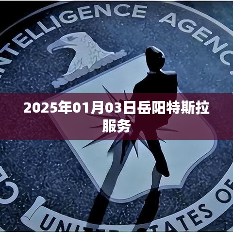 特斯拉岳阳服务中心正式开业,一站式服务体验来袭