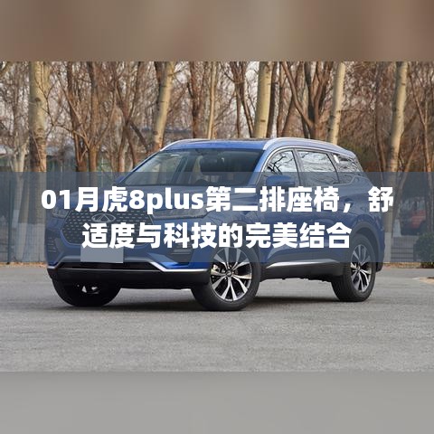 01月虎8plus第二排座椅,舒适度与科技的融合体验