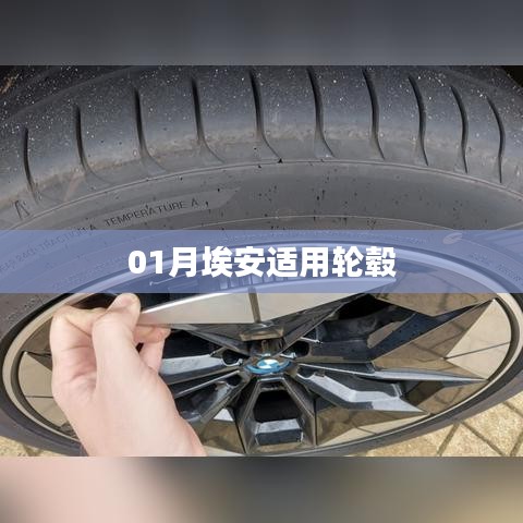 埃安适用轮毂一月份选购指南