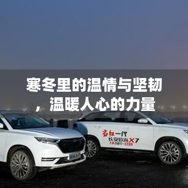 寒冬里的温情与坚韧，温暖人心的力量