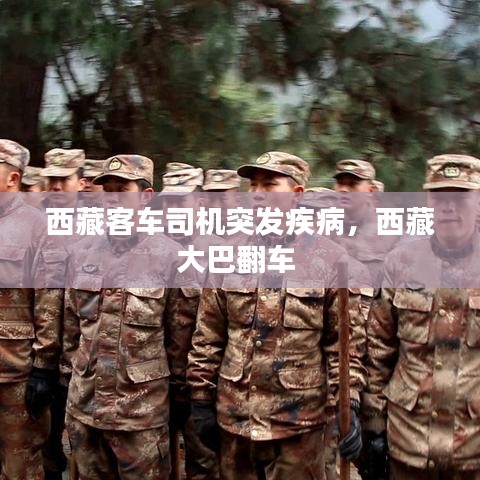 西藏客车司机突发疾病,西藏大巴翻车