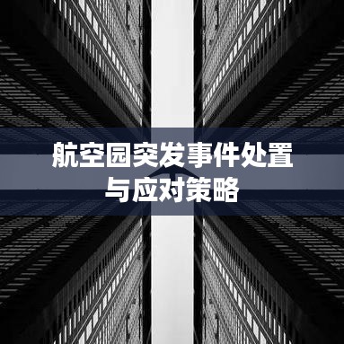 航空园突发事件处置与应对策略