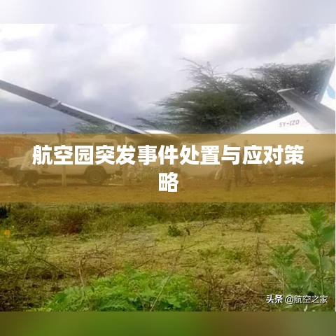航空园突发事件处置与应对策略