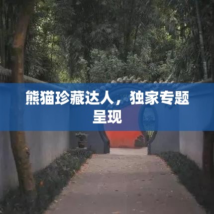 熊猫珍藏达人,独家专题呈现