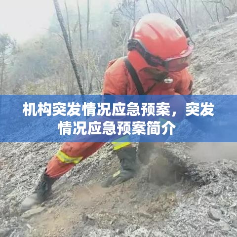 机构突发情况应急预案，突发情况应急预案简介 