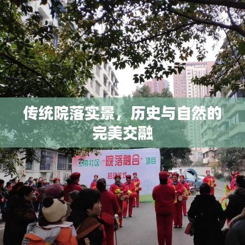 传统院落实景,历史与自然的完美交融