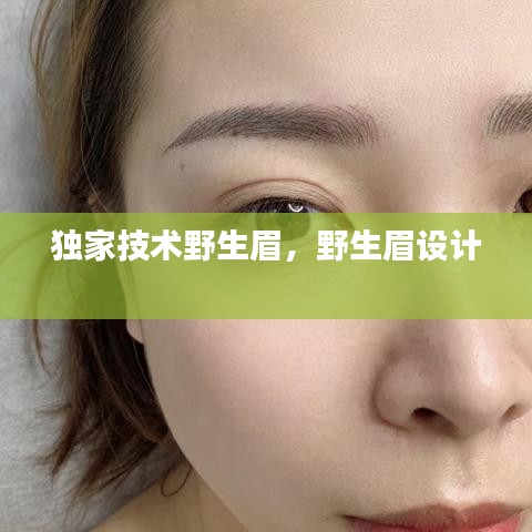 独家技术野生眉,野生眉设计