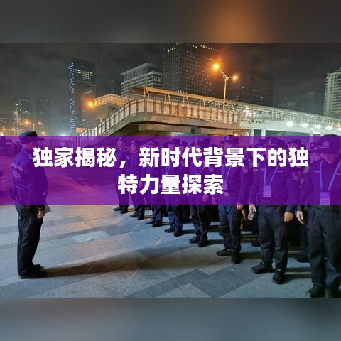 独家揭秘，新时代背景下的独特力量探索