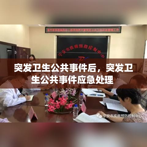 突发卫生公共事件后,突发卫生公共事件应急处理