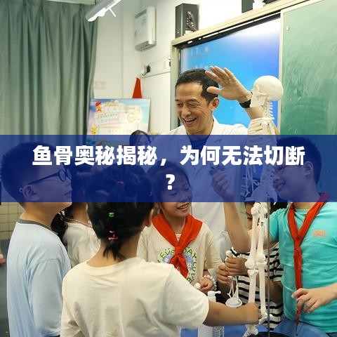 鱼骨奥秘揭秘,为何无法切断?