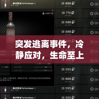 突发逃离事件，冷静应对，生命至上，危机时刻的正确选择