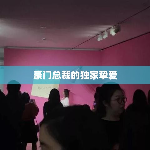 豪门总裁的独家挚爱