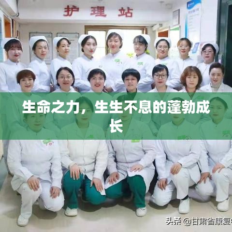 生命之力,生生不息的蓬勃成长