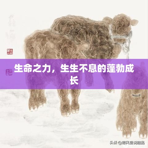 生命之力,生生不息的蓬勃成长
