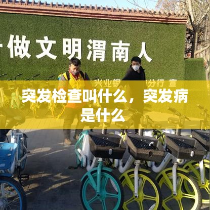 突发检查叫什么,突发病是什么