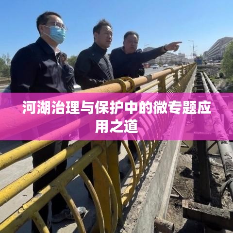 河湖治理与保护中的微专题应用之道
