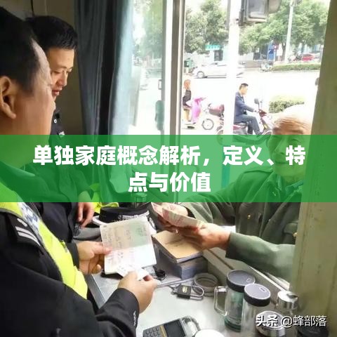 单独家庭概念解析，定义、特点与价值