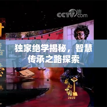 独家绝学揭秘，智慧传承之路探索