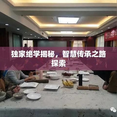 独家绝学揭秘,智慧传承之路探索