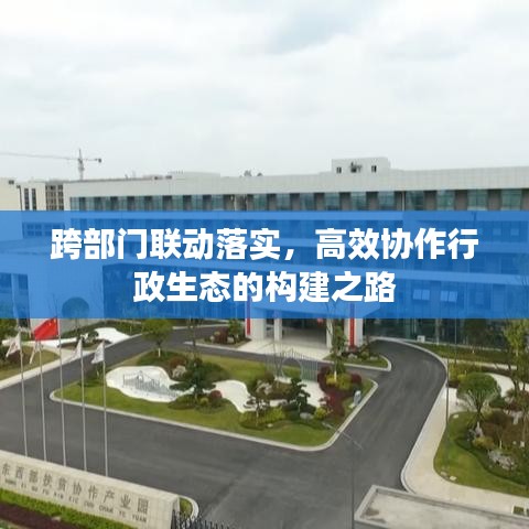 跨部门联动落实，高效协作行政生态的构建之路