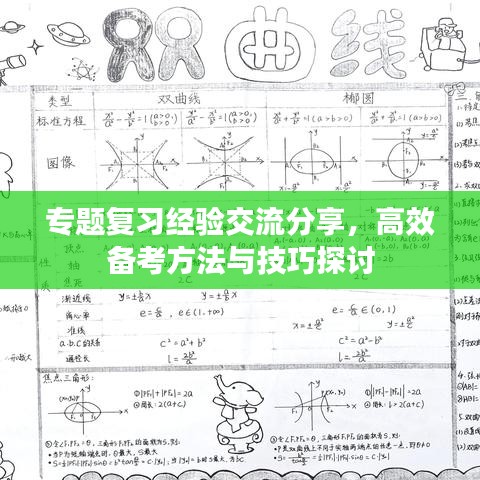 专题复习经验交流分享,高效备考方法与技巧探讨