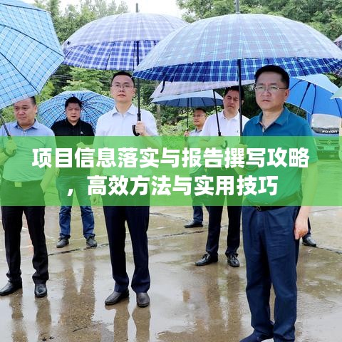 项目信息落实与报告撰写攻略，高效方法与实用技巧