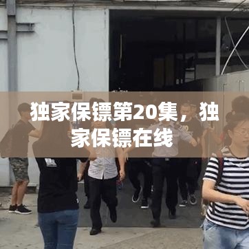 独家保镖第20集,独家保镖在线