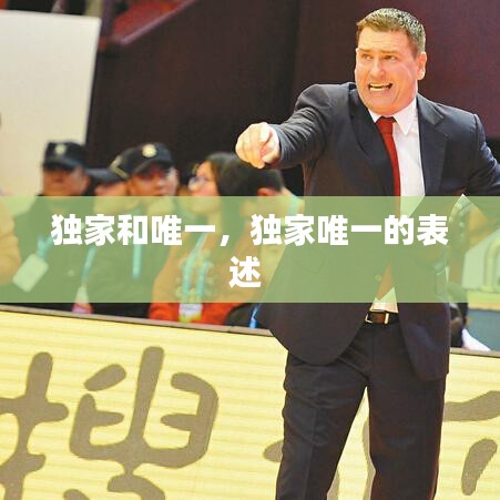 独家和唯一，独家唯一的表述 