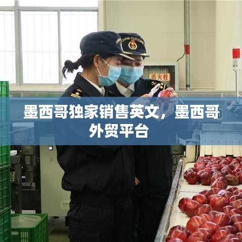 墨西哥独家销售英文,墨西哥外贸平台