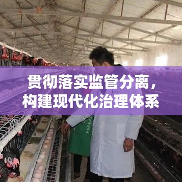 贯彻落实监管分离,构建现代化治理体系的必经之路