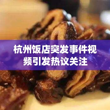 杭州饭店突发事件视频引发热议关注