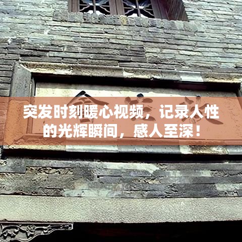 突发时刻暖心视频,记录人性的光辉瞬间,感人至深!