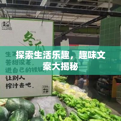 探索生活乐趣,趣味文案大揭秘