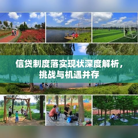 信贷制度落实现状深度解析,挑战与机遇并存