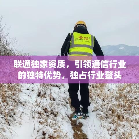 联通独家资质，引领通信行业的独特优势，独占行业鳌头