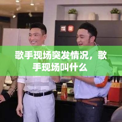 歌手现场突发情况，歌手现场叫什么 