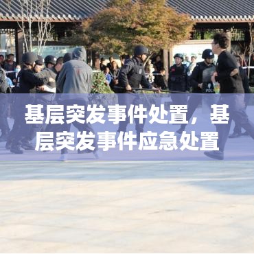 基层突发事件处置,基层突发事件应急处置方法