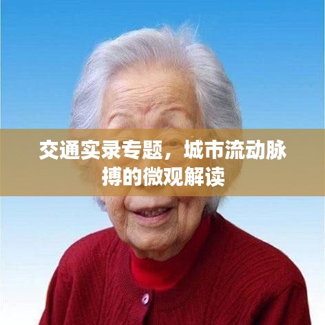 交通实录专题,城市流动脉搏的微观解读