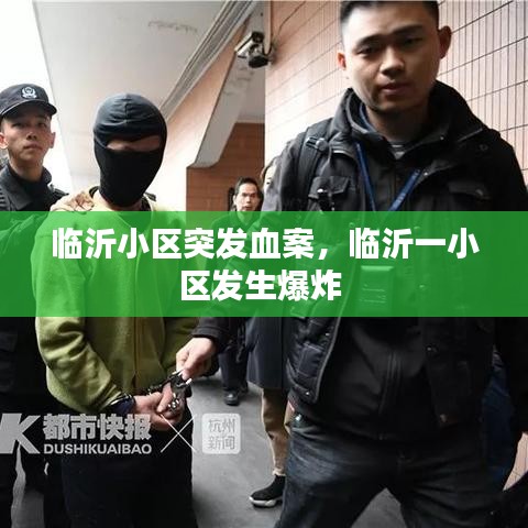 临沂小区突发血案，临沂一小区发生爆炸 