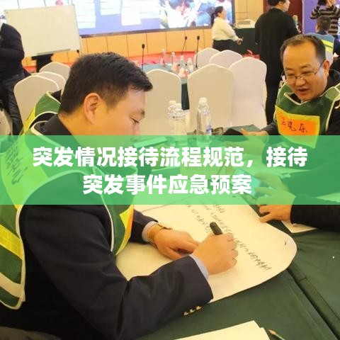 突发情况接待流程规范,接待突发事件应急预案