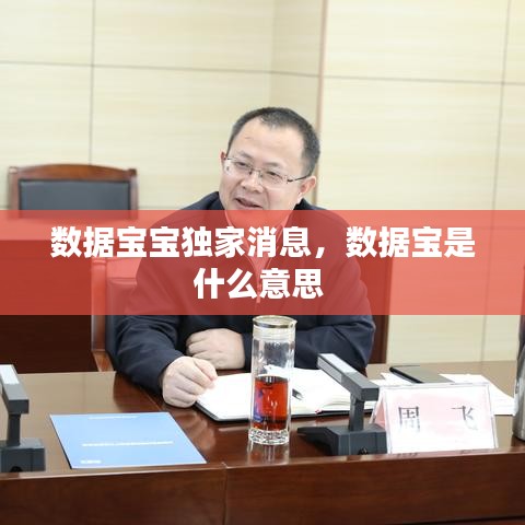 数据宝宝独家消息,数据宝是什么意思