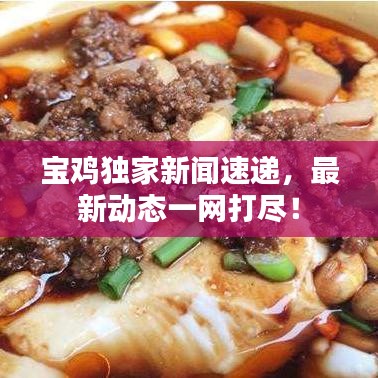 宝鸡独家新闻速递,最新动态一网打尽!