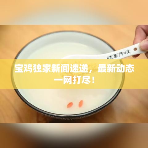 宝鸡独家新闻速递,最新动态一网打尽!