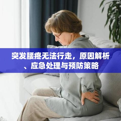 突发腰疼无法行走,原因解析、应急处理与预防策略